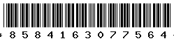8584163077564 8584163077564