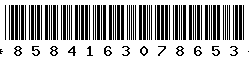 8584163078653 8584163078653