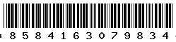 8584163079834