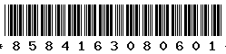 8584163080601