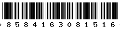8584163081516