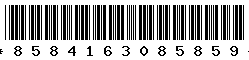 8584163085859