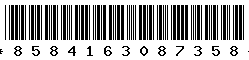 8584163087358