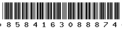 8584163088874 8584163088874