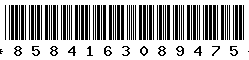 8584163089475