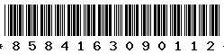 8584163090112