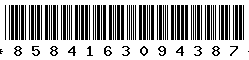 8584163094387