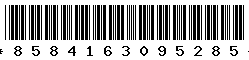 8584163095285
