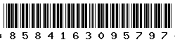 8584163095797 8584163095797