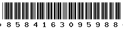 8584163095988