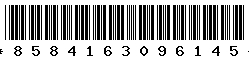 8584163096145