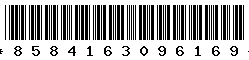 8584163096169 8584163096169