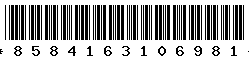 8584163106981 8584163106981
