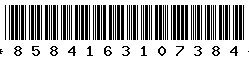 8584163107384 8584163107384