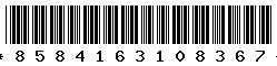 8584163108367