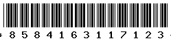 8584163117123 8584163117123