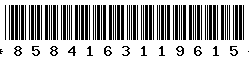 8584163119615 8584163119615