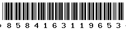 8584163119653