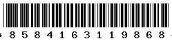8584163119868