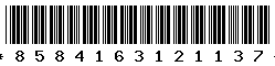 8584163121137 8584163121137