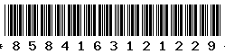 8584163121229 8584163121229