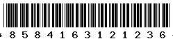 8584163121236 8584163121236