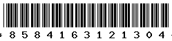 8584163121304 8584163121304