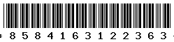 8584163122363