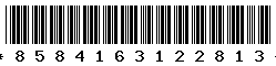 8584163122813 8584163122813