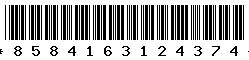 8584163124374
