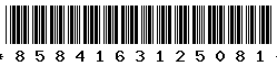 8584163125081