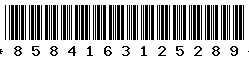 8584163125289 8584163125289