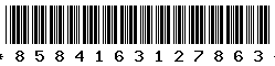 8584163127863 8584163127863