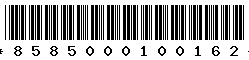 8585000100162 8585000100162