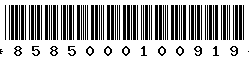 8585000100919 8585000100919