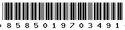 8585019703491 8585019703491