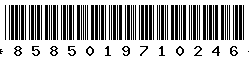 8585019710246 8585019710246