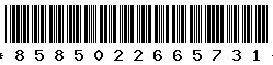 8585022665731 8585022665731