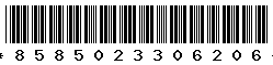 8585023306206