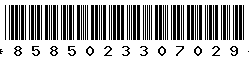 8585023307029 8585023307029