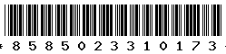 8585023310173 8585023310173