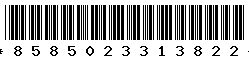 8585023313822 8585023313822