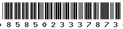 8585023337873 8585023337873
