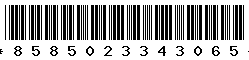8585023343065 8585023343065