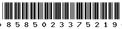 8585023375219