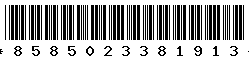 8585023381913 8585023381913