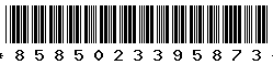 8585023395873 8585023395873