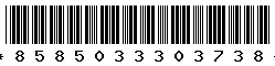 8585033303738 8585033303738
