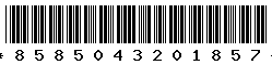8585043201857