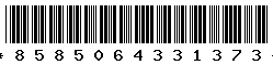 8585064331373 8585064331373